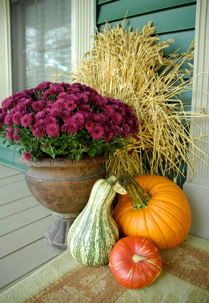 fall front porch - living rich on lessliving rich on less